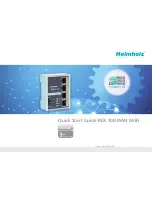 Preview for 1 page of Helmholz 700-875-WAN01 Quick Start Manual