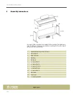 Предварительный просмотр 10 страницы Hemingway DP-501 MK II User Manual