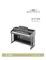 Hemingway DP-701 MKII User Manual предпросмотр