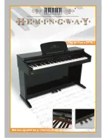 Preview for 1 page of Hemingway DP501 Owner'S Manual