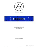 Hendy Amps Michelangelo Operating Instructions Manual preview