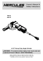 Hercules HE61P Owner'S Manual & Safety Instructions preview