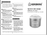 Preview for 1 page of Herzberg HG-8004 Quick Start Manual