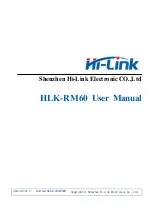 Hi-Link HLK-RM60 User Manual preview