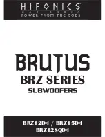 Hifionics BRUTUS BRZ12D4 User Manual preview