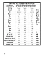 Preview for 4 page of Hifionics BRUTUS BRZ12D4 User Manual