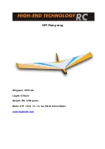 Preview for 1 page of High-End Technology Flying Wing Manual