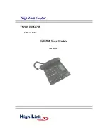 High Link GF302 User Manual предпросмотр