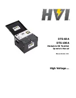 High Voltage DTS-100A Operator'S Manual preview