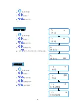 Предварительный просмотр 19 страницы Hikari SP09 Instruction Manual Book