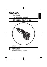 HIKOKI FGP 10DL Handling Instructions Manual preview