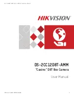 HIKVISION Casino D8T DS-2CC12D8T-AMM User Manual предпросмотр