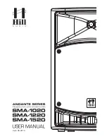 Hill Audio Andante SMA-1020 User Manual предпросмотр