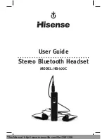 Предварительный просмотр 2 страницы Hisense HB400C User Manual