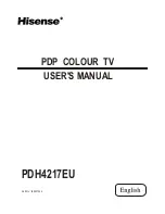 Предварительный просмотр 1 страницы Hisense PDH4217 User Manual