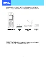 Preview for 14 page of Hitachi Cable WirelessIP 3000 User Manual