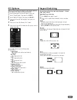 Предварительный просмотр 21 страницы Hitachi LE32V407 Owner'S Manual