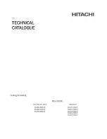 Hitachi MULTIZONE RAM-40NE2F Technical Catalogue preview