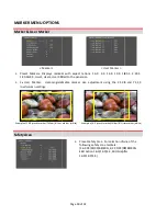 Preview for 18 page of Hitachi VF-PBM209 Operating Instructions Manual