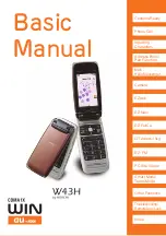 Hitachi w43h User Manual preview