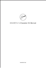 HiVi DIY3.1-A Manual предпросмотр