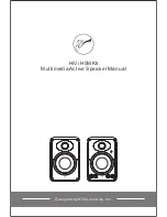 Preview for 1 page of HiVi H5MKII Manual