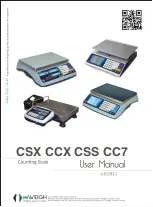 Предварительный просмотр 1 страницы HiWeigh CCS3 User Manual