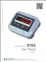 HiWeigh X704 User Manual preview