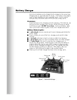 Предварительный просмотр 10 страницы HM Electronics ION IQ NDT Operating Instructions Manual