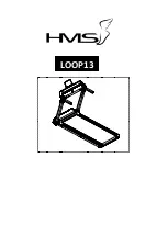 Preview for 1 page of HMS LOOP13 Manual