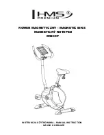 Preview for 1 page of HMS M9239P Manual Instruction