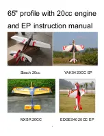 HobbyKing EDGE540 20CC EP Instruction Manual preview