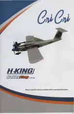 HobbyKing H-KING Cri Cri Manual preview