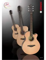 Hohner Essential Series Essential Folk Brochure preview