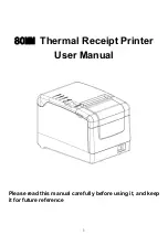 HOIN HOP-M581 User Manual предпросмотр