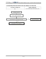 Предварительный просмотр 255 страницы Hokkaido HCKU 1066 X4 Series Service Manual