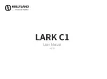 Hollyland LARK C1 User Manual preview