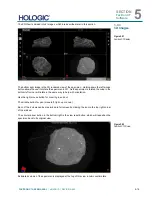 Preview for 46 page of Hologic Faxitron CT User Manual