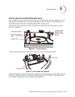 Предварительный просмотр 261 страницы Hologic ThinPrep 5000 Operator'S Manual