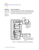 Предварительный просмотр 215 страницы Hologic ThinPrep Operator'S Manual