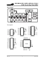 Предварительный просмотр 8 страницы Holtek BS83B08-3 Manual