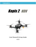 Holybro Kopis 2 User Manual & Setup Manual preview