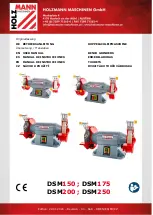 HOLZMANN MASCHINEN DSM 150 User Manual предпросмотр