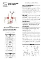 Home Accents Holiday 21RT00421111 Assembly Instructions preview