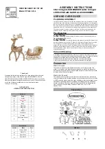 Home Accents Holiday TY483-1611-0 Assembly Instructions preview