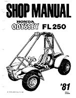 Honda 1981 Odyssey FL250 Shop Manual preview