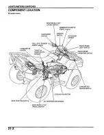 Предварительный просмотр 383 страницы Honda 2005 FOURTRAX FOREMAN TRX500 FE Service Manual