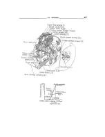 Предварительный просмотр 56 страницы Honda 90 C200 Service Manual