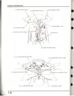 Предварительный просмотр 10 страницы Honda Elite 50 LX Service Manual