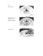 Предварительный просмотр 200 страницы Honda Gorilla Z50Jz-3 Service Manual